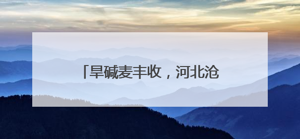旱碱麦丰收，河北沧州带着麦香进京推介