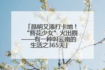 昆明又添打卡地！“簪花少女”火出圈——有一种叫云南的生活之365天