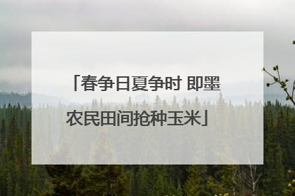 春争日夏争时 即墨农民田间抢种玉米