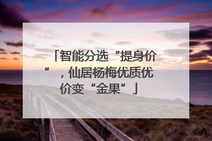 智能分选“提身价”，仙居杨梅优质优价变“金果”