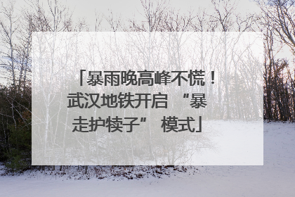 暴雨晚高峰不慌！武汉地铁开启 “暴走护犊子” 模式