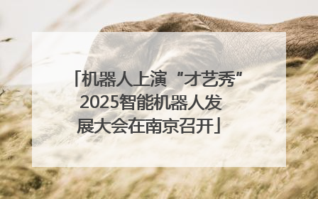 机器人上演“才艺秀” 2025智能机器人发展大会在南京召开