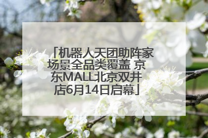 机器人天团助阵家场景全品类覆盖 京东MALL北京双井店6月14日启幕