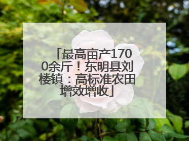 最高亩产1700余斤！东明县刘楼镇：高标准农田增效增收