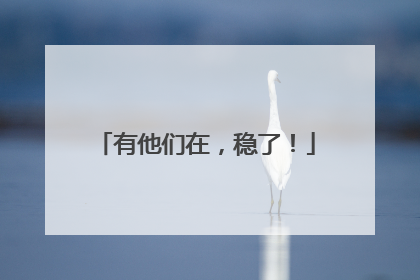 有他们在，稳了！