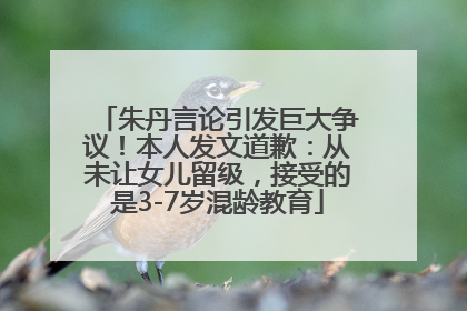 朱丹言论引发巨大争议！本人发文道歉：从未让女儿留级，接受的是3-7岁混龄教育