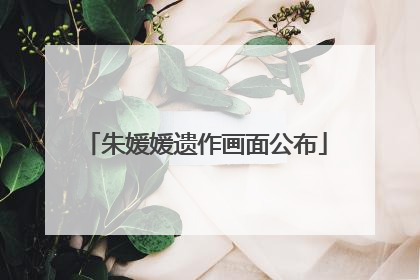 朱媛媛遗作画面公布