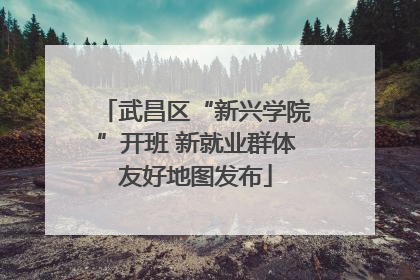 武昌区“新兴学院”开班 新就业群体友好地图发布