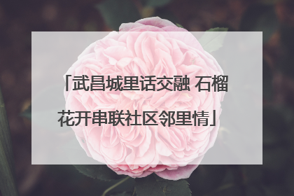 武昌城里话交融 石榴花开串联社区邻里情
