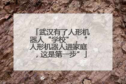 武汉有了人形机器人“学校”，“人形机器人进家庭，这是第一步”