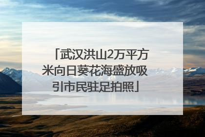 武汉洪山2万平方米向日葵花海盛放吸引市民驻足拍照