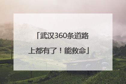 武汉360条道路上都有了！能救命