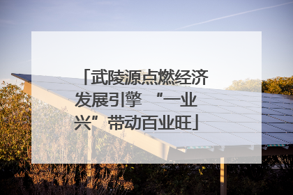 武陵源点燃经济发展引擎 “一业兴”带动百业旺