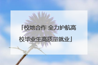 校地合作 全力护航高校毕业生高质量就业