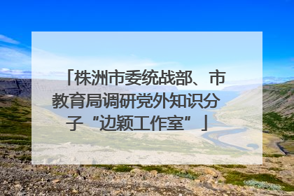 株洲市委统战部、市教育局调研党外知识分子“边颖工作室”