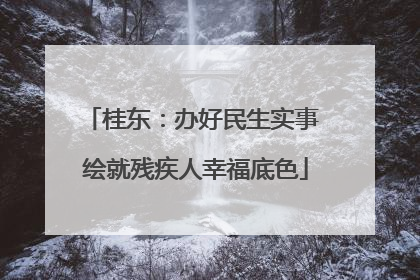 桂东：办好民生实事 绘就残疾人幸福底色
