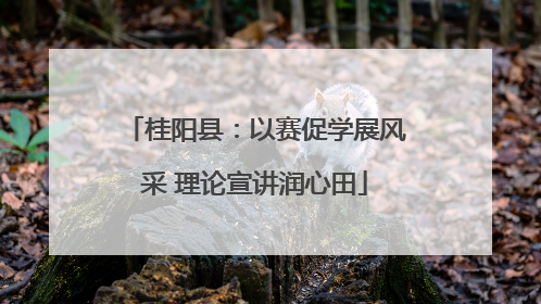 桂阳县：以赛促学展风采 理论宣讲润心田