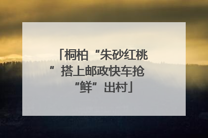 桐柏“朱砂红桃”搭上邮政快车抢“鲜”出村