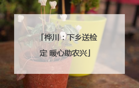 桦川：下乡送检定 暖心助农兴