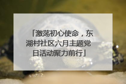激荡初心使命，东湖村社区六月主题党日活动聚力前行