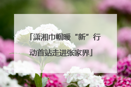 潇湘巾帼暖“新”行动首站走进张家界
