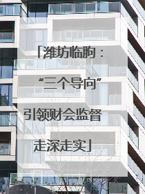 潍坊临朐：“三个导向”引领财会监督走深走实