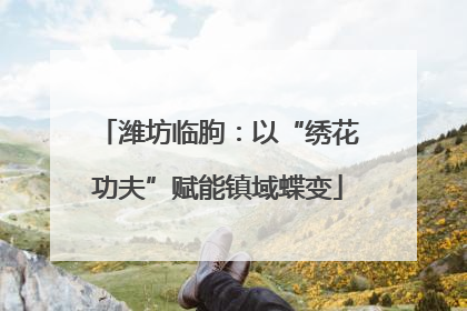 潍坊临朐：以“绣花功夫”赋能镇域蝶变