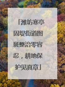 潍坊寒亭固堤街道图斑整治零容忍，耕地保护见真章