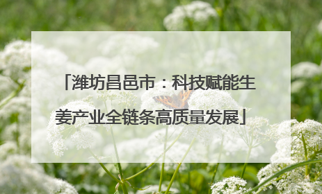 潍坊昌邑市：科技赋能生姜产业全链条高质量发展