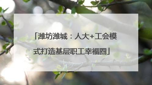 潍坊潍城：人大+工会模式打造基层职工幸福圈