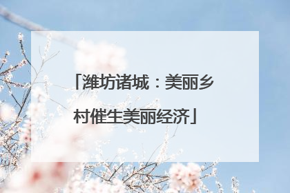 潍坊诸城：美丽乡村催生美丽经济