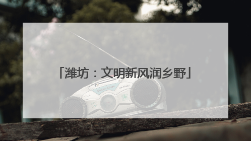 潍坊：文明新风润乡野