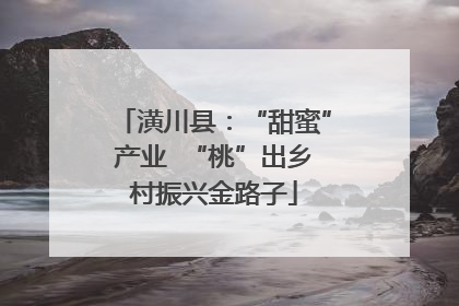 潢川县：“甜蜜”产业  “桃”出乡村振兴金路子