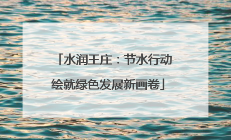 水润王庄：节水行动绘就绿色发展新画卷