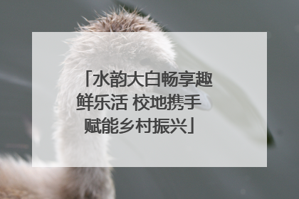 水韵大白畅享趣鲜乐活 校地携手赋能乡村振兴