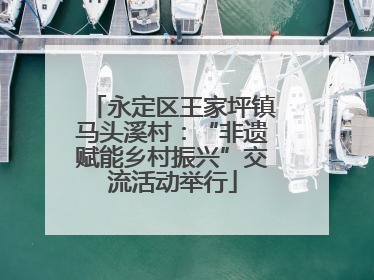 永定区王家坪镇马头溪村：“非遗赋能乡村振兴”交流活动举行