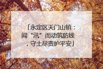 永定区天门山镇：闻“汛”而动筑防线，守土尽责护平安