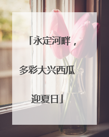 永定河畔，多彩大兴西瓜迎夏日