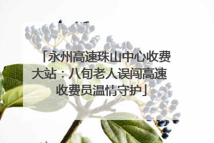 永州高速珠山中心收费大站：八旬老人误闯高速 收费员温情守护