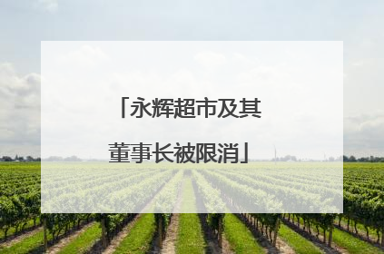 永辉超市及其董事长被限消