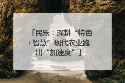 民乐：深耕“特色+智慧”现代农业跑出“加速度”