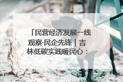 民营经济发展一线观察·民企先锋｜吉林低碳实践暖民心：太阳能供暖技术为北方清洁取暖破局