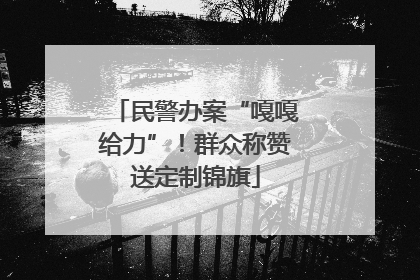 民警办案“嘎嘎给力”！群众称赞送定制锦旗