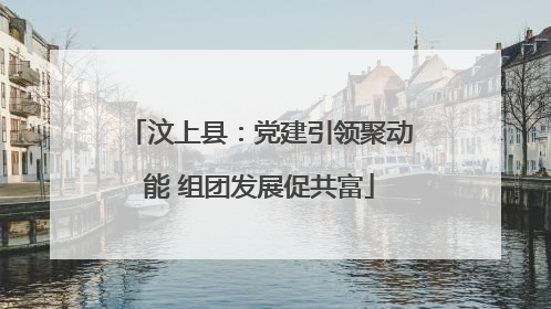 汶上县：党建引领聚动能 组团发展促共富