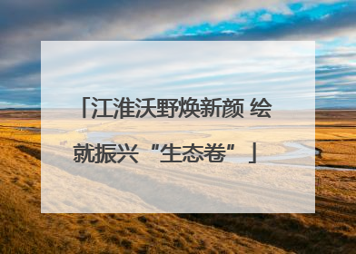 江淮沃野焕新颜 绘就振兴“生态卷”