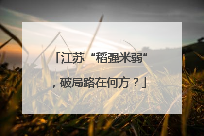 江苏“稻强米弱”，破局路在何方？