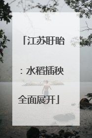 江苏盱眙：水稻插秧全面展开