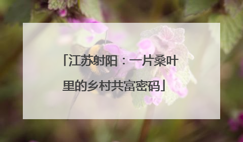 江苏射阳：一片桑叶里的乡村共富密码