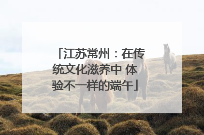江苏常州：在传统文化滋养中 体验不一样的端午