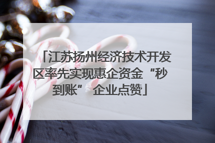 江苏扬州经济技术开发区率先实现惠企资金“秒到账” 企业点赞